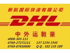 专业高效，链接全球 企石DHL快递服务与南城新航货运仓储解决方案